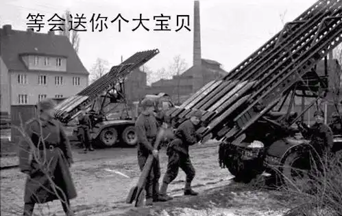 喀秋莎表情包没想到吧
