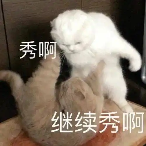 沙雕表情包斗图必备