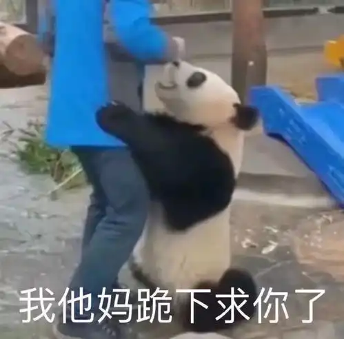 今年浙江首考出分为什么这么晚
