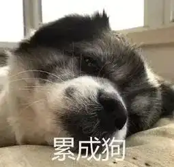 暑假舞蹈老师的一天
