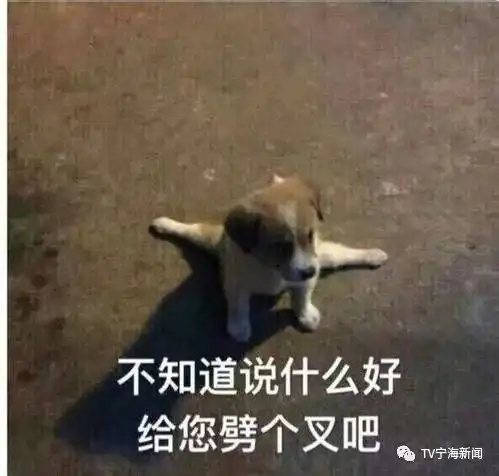悦舞风华柔力球佳木斯,她样样不在话下

