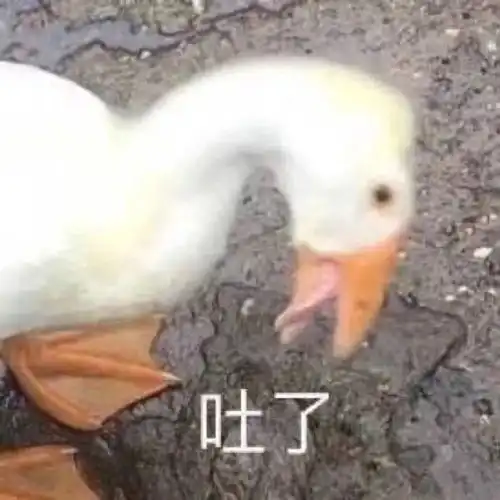 表情包不亲亲就不理你
