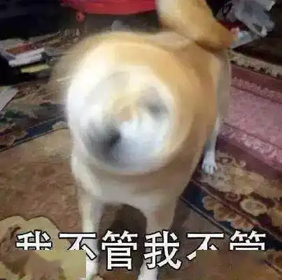 当代年轻人的聚会,真是感天动地每日搞笑段子

