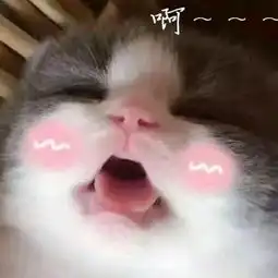 三无氪爆机的微博微博
