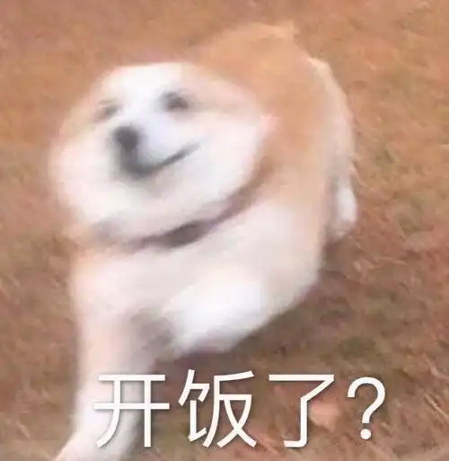 王某某你睡了吗我们吃瓜狗狗睡不着