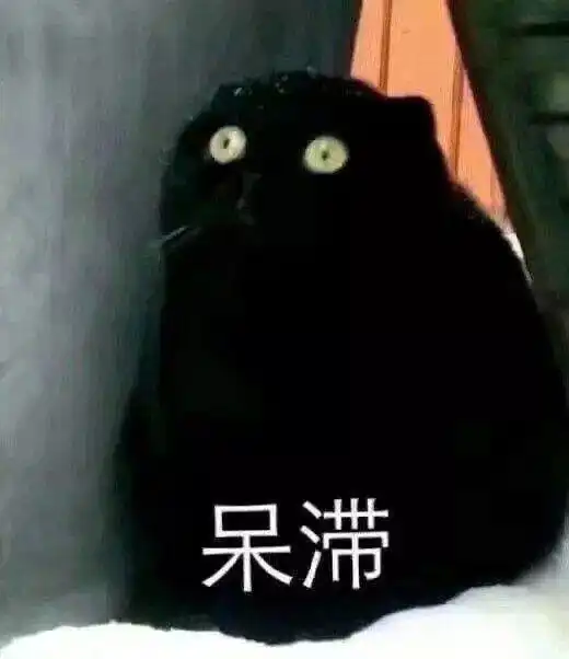 可爱猫咪表情包接下来你是不是要凶我了
