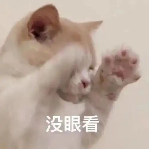 猫咪猥琐动作排行榜,踩奶居然排第一
