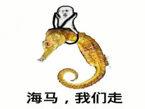 皮皮虾表情包
