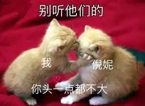 哈哈哈哈哈哈哈哈,倪妮的新造型,又土又炸
