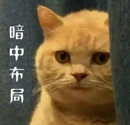 暗中观察什么意思表情猫图片很搞笑
