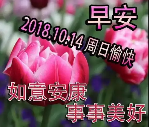最新特别漂亮早上好图片带字温馨最美早安问候动态表情图片

