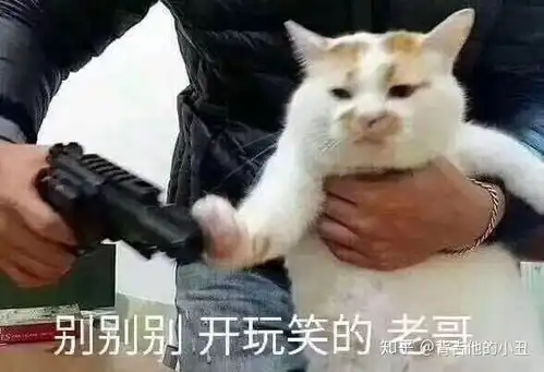一句话形容网抑云
