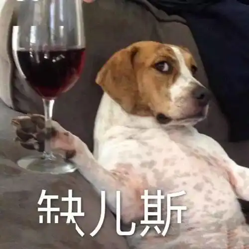 合集汪星人表情包
