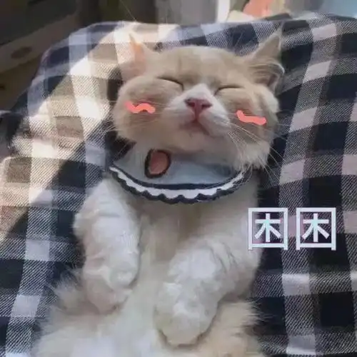 表情包清醒知趣,保持自信
