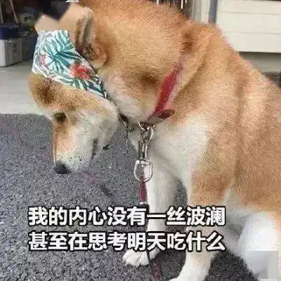马云预言下一个风口再现,80亿财富震撼来袭,将诞生大批千万富翁...来看看
