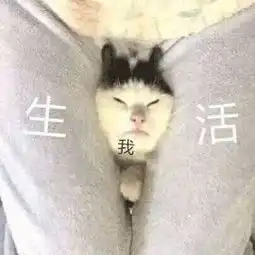 无锡副业江湖工资四千,月供八千,有多少人靠不务正业生存
