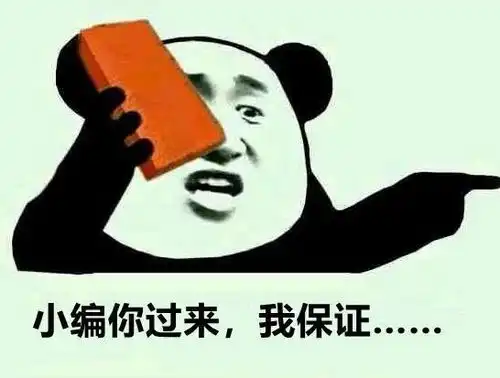 尾款人,你还有一个速冻包裹即将抵达
