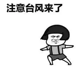 台风利奇马路径,是否袭津
