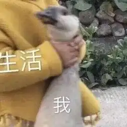 表情包沙雕表情包170期
