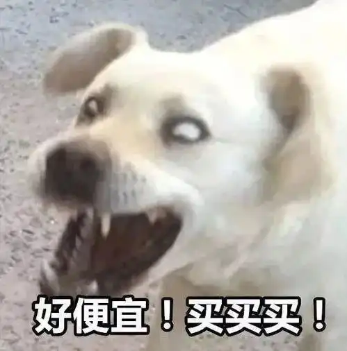 最新消息,新闻,图片,视频聚合阅读新浪网

