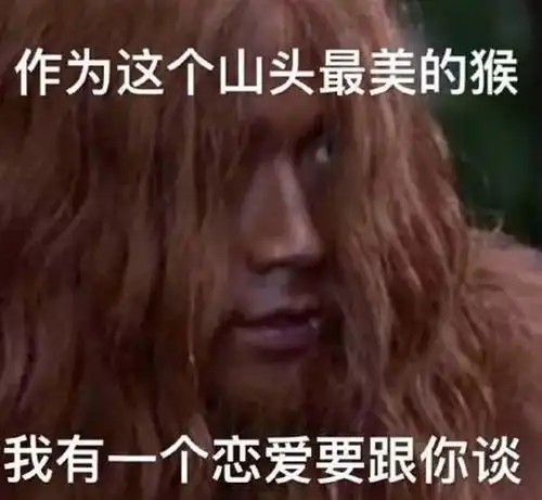 这个被表情包玩坏的新青年男团,承包了我一周的笑点
