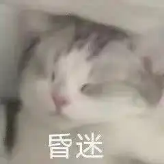 委屈表情包对不起,这太难过了
