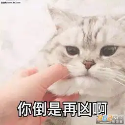 喵星人表情包动态喵星人表情包带字下载无水印乐游网游戏下载
