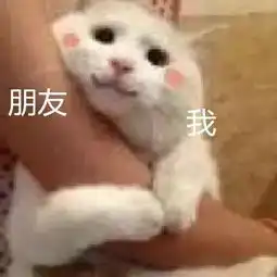抱大腿表情包可爱折价