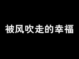被风吹走的幸福
