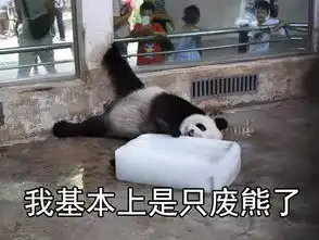 台风要组团来了,宁波的高温马上就要滚了然而...

