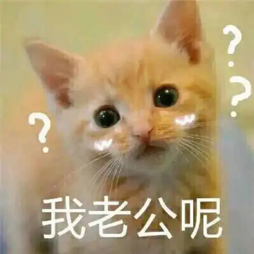今日表情推荐,16
