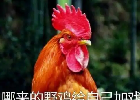河南高考掉包真相公布一家子戏精,都洗洗睡吧
