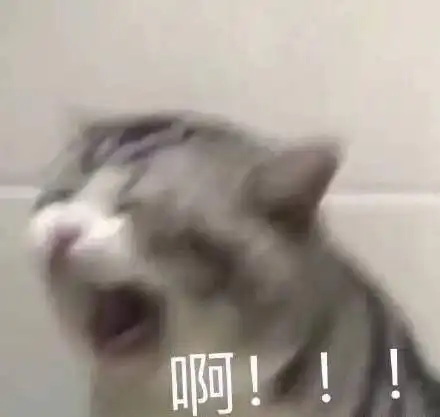 法考和法硕如何同时准备
