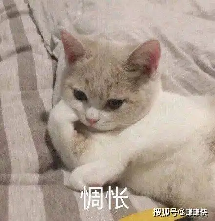 表情包图片女孩的心思你别猜
