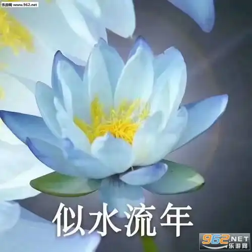 好运莲莲表情包图片大全四大皆空佛系莲花表情包图片下载乐游网游戏下载
