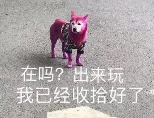 他们,假期都很浪然后,他们考上了复旦人大硕士
