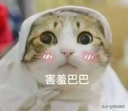 乔碧萝殿下直播挡脸图不见了头号粉丝跳跃先知气得注销账号
