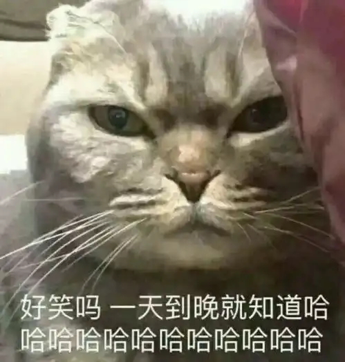斗图小表情1.24
