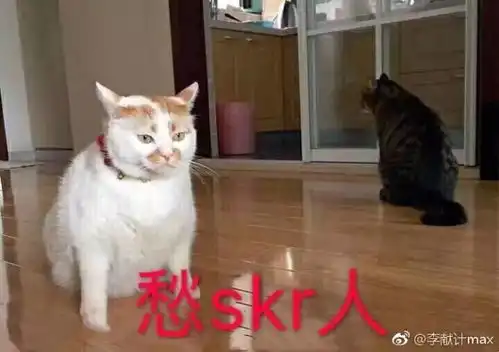 这两天最火的词可能就是它了太魔性了,笑skr人
