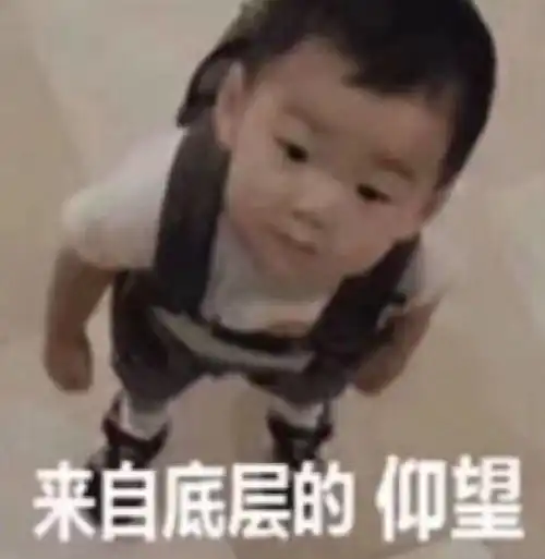 骄傲湛江13名考生包揽粤西地区尖子生席位,其中有3名进入省前20名

