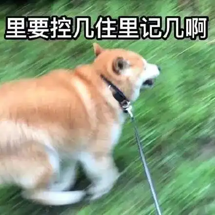 又有新台风12号台风榕树生成嵊州高温天卷土重来不过下周真有个好消息
