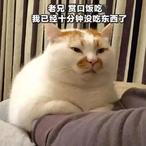 秒杀朋友圈教你做微信彩色发光昵称
