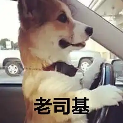 用了这些头像和壁纸,7月就会对你好一点
