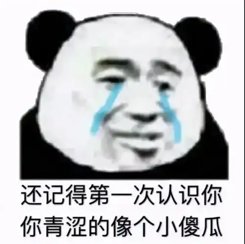 表情包早安,我的小炮友
