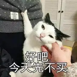 刷屏一整个暑假的综艺要完结惹他们保持幸福感的法宝到底是啥
