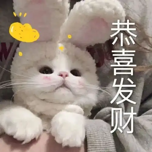 可爱的猫猫表情包情侣聊天必备
