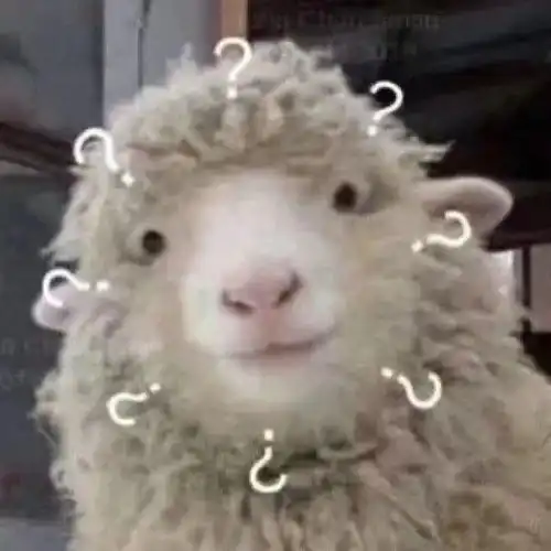 很疑惑

