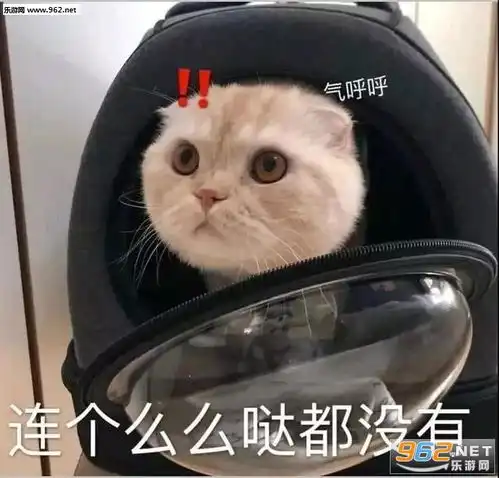 考试重在参与表情包图片连个么么哒都没有的表情包下载乐游网游戏下载
