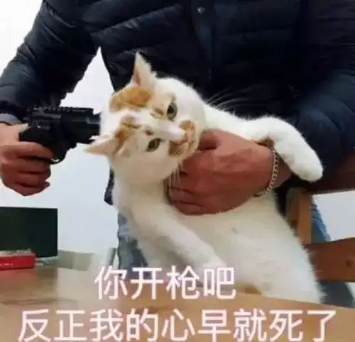 抖音真好体爆红,异国他乡的你今天真好了吗
