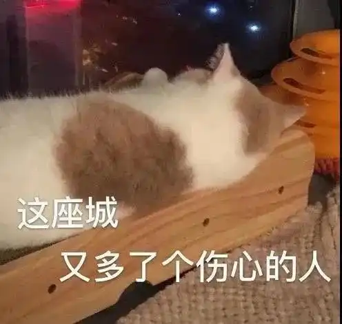 857857蹦迪专用表情包隔音